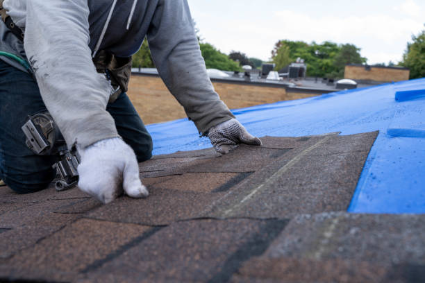 Professional Roofing Contractor in Berwick, LA
